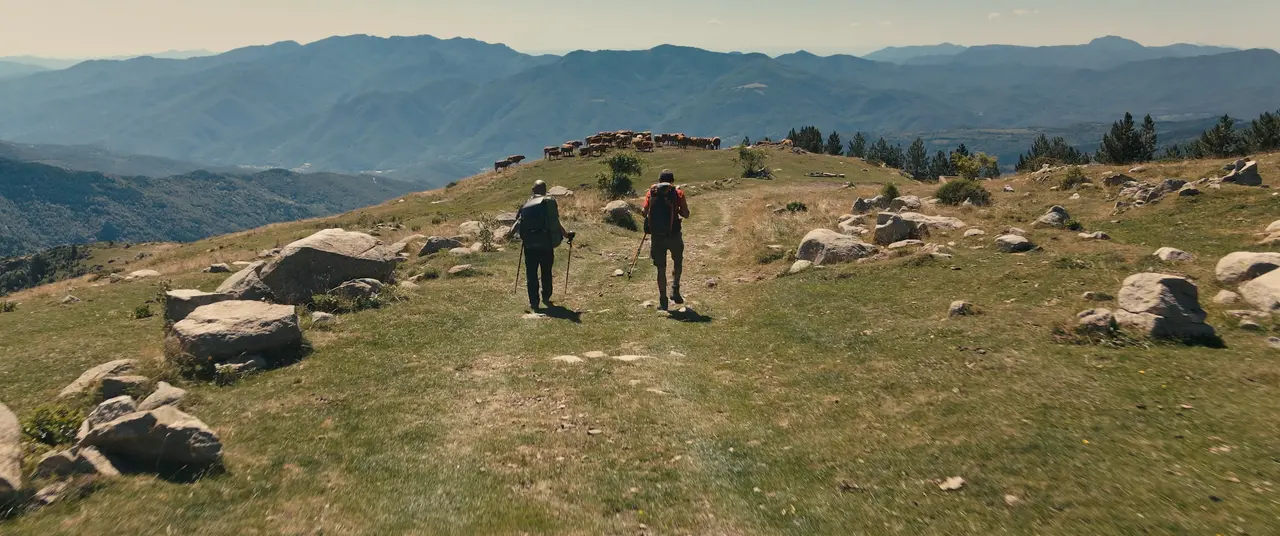 Deux randonneurs sur une crête herbeuse, face aux montagnes et à un troupeau.